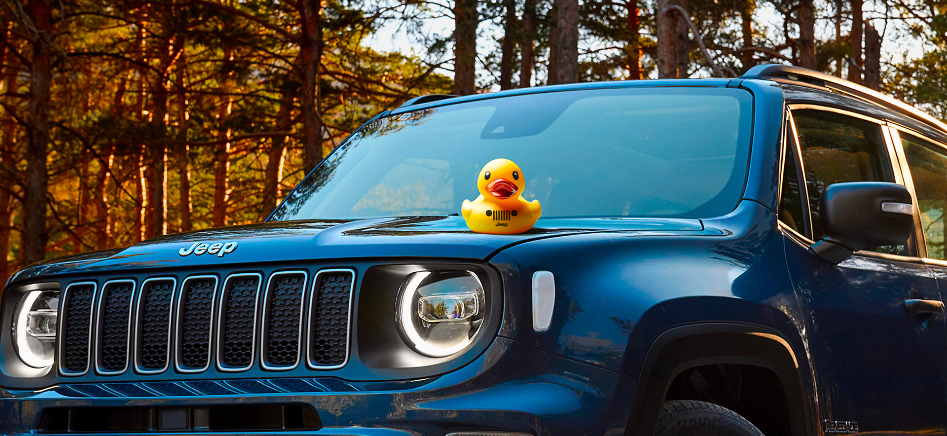DUCKING AROUND 